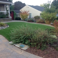 Artificial Grass Bluewater, Arizona Rooftop, Front Yard Landscaping Ideas