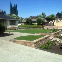 Artificial Grass Carpet Ali Chukson, Arizona Landscape Design, Front Yard Design