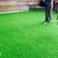 Artificial Grass Carpet Willow Valley, Arizona Playground Turf, Backyards