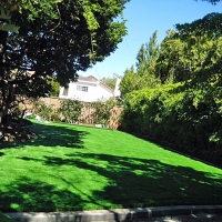 Artificial Grass Tat Momoli, Arizona Gardeners, Backyard Ideas