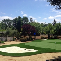 Artificial Lawn Mammoth, Arizona Backyard Putting Green, Front Yard Landscaping Ideas