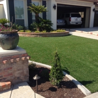 Artificial Lawn Strawberry, Arizona City Landscape, Front Yard Ideas