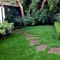 Artificial Lawn Tubac, Arizona Design Ideas, Backyard