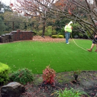 Artificial Turf Cost Ajo, Arizona Lawns, Backyard Makeover