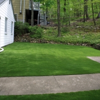 Artificial Turf Cost Rio Rico, Arizona Gardeners, Front Yard Landscaping Ideas