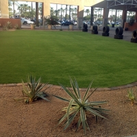 Artificial Turf Gila Bend, Arizona Home And Garden, Commercial Landscape