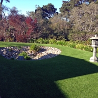 Artificial Turf Queen Valley, Arizona Home And Garden, Backyard Design