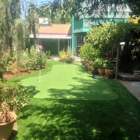 Best Artificial Grass Bagdad, Arizona Lawn And Garden