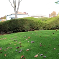 Best Artificial Grass Eagar, Arizona Landscape Ideas, Front Yard