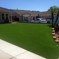 Best Artificial Grass East Fork, Arizona Design Ideas, Front Yard Ideas