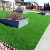 Fake Grass Carpet Phoenix, Arizona Design Ideas, Landscaping Ideas For Front Yard