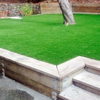 Fake Grass Carpet Sacaton, Arizona Landscaping, Backyard Garden Ideas