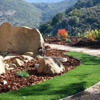 Fake Grass Carpet San Carlos, Arizona Home And Garden, Front Yard Landscaping Ideas