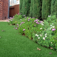 Fake Grass Carpet Tuba City, Arizona Design Ideas, Front Yard