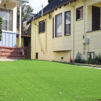 Fake Grass Indian Wells, Arizona City Landscape, Front Yard Landscape Ideas