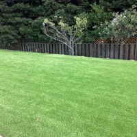 Fake Grass Peridot, Arizona Landscape Photos, Backyard