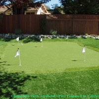 Fake Lawn Fountain Hills, Arizona How To Build A Putting Green, Backyard Makeover