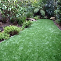 Fake Turf Maricopa, Arizona Backyard Playground, Backyard Designs