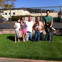 Fake Turf Seligman, Arizona Landscape Design, Commercial Landscape