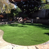 Faux Grass Citrus Park, Arizona Gardeners, Backyard Ideas