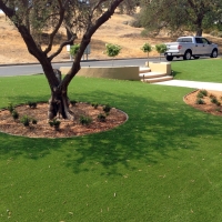 Faux Grass Grand Canyon Village, Arizona Gardeners, Front Yard Landscaping Ideas