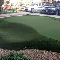 Grass Carpet Drexel Heights, Arizona Lawn And Landscape, Commercial Landscape