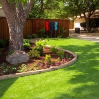 Grass Carpet Elgin, Arizona Roof Top, Backyards