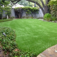 Grass Carpet Parks, Arizona Landscape Design, Backyard Garden Ideas