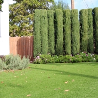 Grass Carpet Second Mesa, Arizona Garden Ideas, Landscaping Ideas For Front Yard