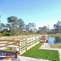 Grass Carpet York, Arizona Landscape Design, Backyard