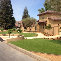 Lawn Services Ali Molina, Arizona Landscaping, Front Yard Landscaping Ideas