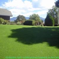 Outdoor Carpet Chandler, Arizona Cat Grass, Backyard Landscape Ideas