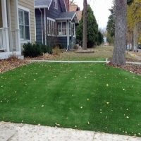 Outdoor Carpet Taylor, Arizona Landscaping, Front Yard Ideas