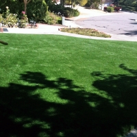 Outdoor Carpet Willow Canyon, Arizona Landscape Ideas, Front Yard Landscaping Ideas