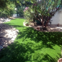 Plastic Grass Pinedale, Arizona City Landscape, Backyard Designs