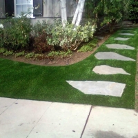 Synthetic Turf Fort Thomas, Arizona City Landscape, Small Front Yard Landscaping