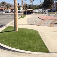 Synthetic Turf Supplier Sells, Arizona Lawn And Garden, Commercial Landscape