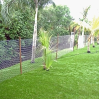 Synthetic Turf Willcox, Arizona Landscaping Business, Backyards