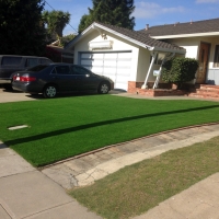 Turf Grass Cibecue, Arizona Backyard Playground, Front Yard Ideas