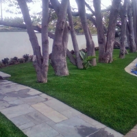 Turf Grass Goodyear, Arizona Home And Garden, Small Front Yard Landscaping