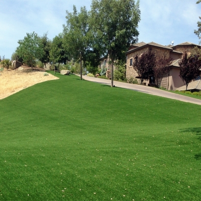 Artificial Lawn Ali Chukson, Arizona Lawns, Landscaping Ideas For Front Yard