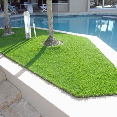 Artificial Lawn Cactus Forest, Arizona Lawn And Landscape, Backyards