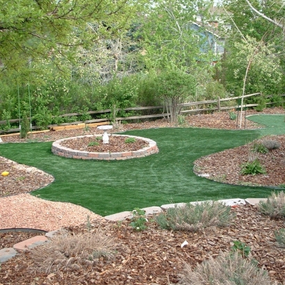 Artificial Lawn Guadalupe, Arizona Paver Patio, Backyard Landscaping