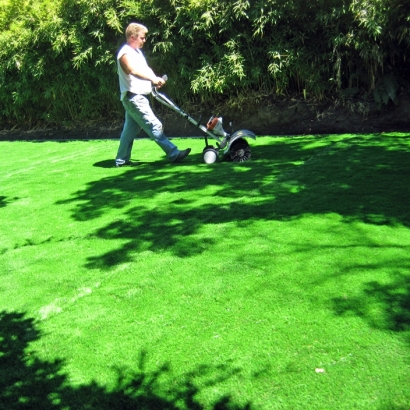 Artificial Turf Cost Charco, Arizona Landscape Ideas, Backyard Ideas