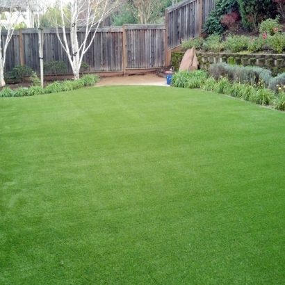 Artificial Turf Cost Eagar, Arizona Landscape Ideas, Backyard Landscaping