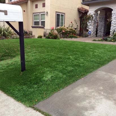 Artificial Turf Installation Dilkon, Arizona Design Ideas, Front Yard Landscaping Ideas