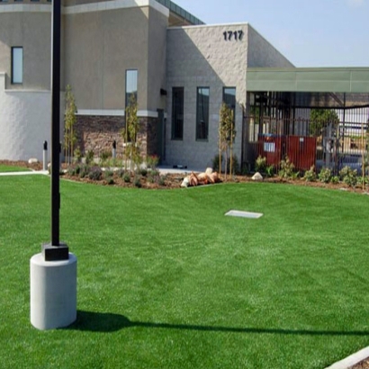 Artificial Turf Installation Queen Valley, Arizona Garden Ideas, Commercial Landscape