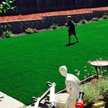 Artificial Turf Moenkopi, Arizona Roof Top, Backyard Ideas