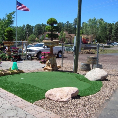 Fake Grass Arivaca, Arizona Landscaping Business, Commercial Landscape