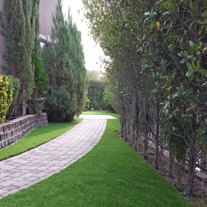 Fake Grass Carpet Beyerville, Arizona Backyard Deck Ideas, Front Yard Landscaping